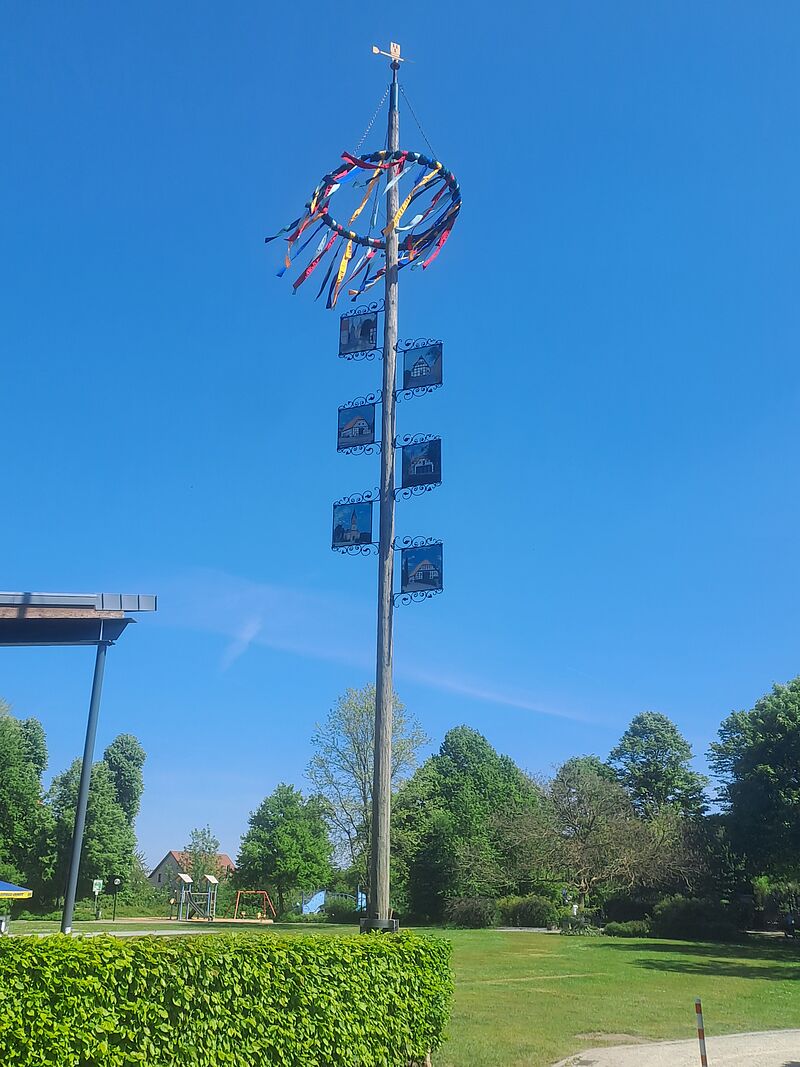 Maibaum 2026 Baum