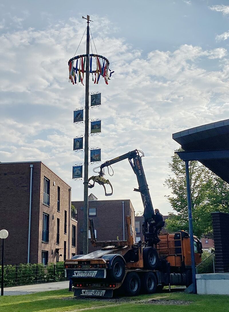 Maibaum 2020