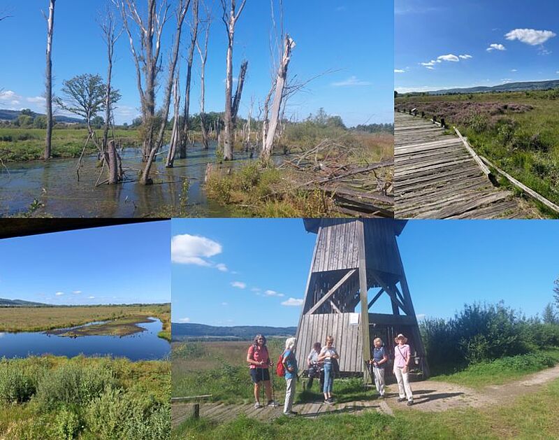 Torfmoor 11.08.24
