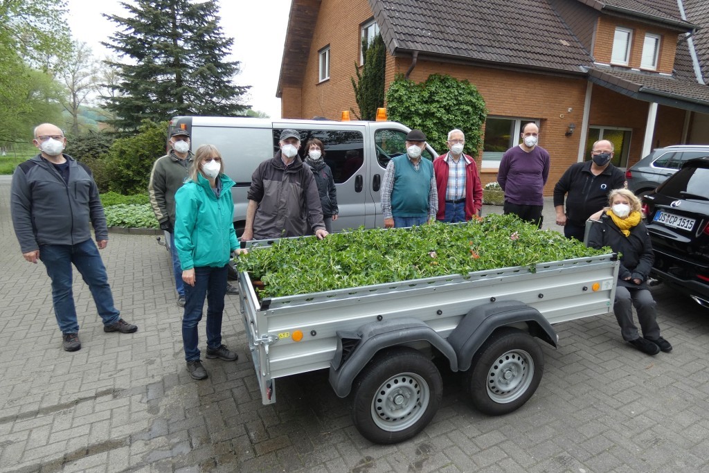 Team-Geranienpflanzen-2021